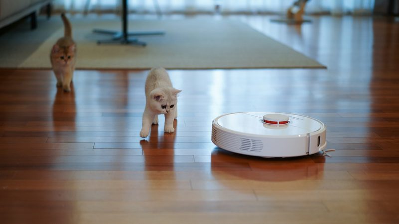Robotstofzuiger op een houten vloer